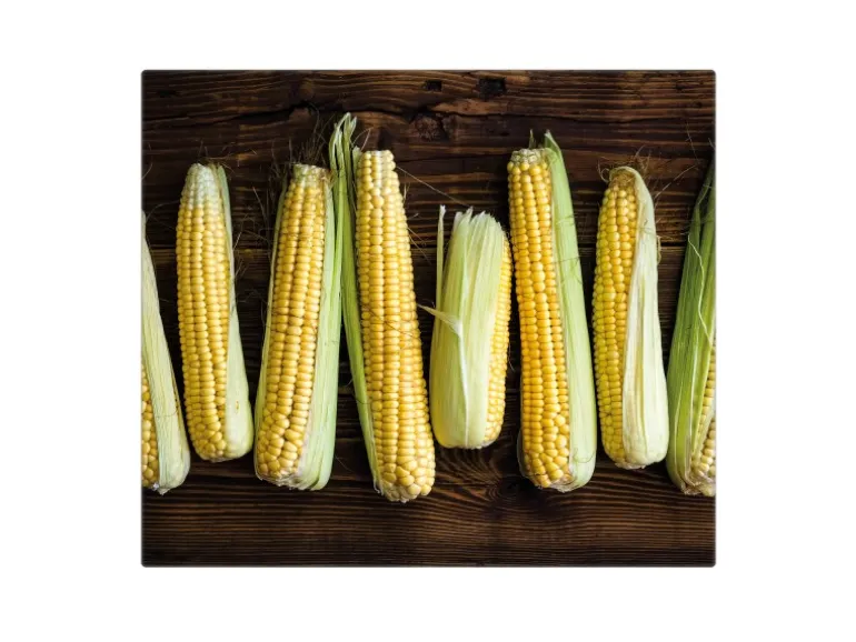 Banjado Herdabdeckplatte Glas 1 Teilig 60x52CM Schneidebrett Herdabdeckung Mit Motiv Maiskolben