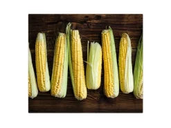 Banjado Herdabdeckplatte Glas 1 Teilig 60x52CM Schneidebrett Herdabdeckung Mit Motiv Maiskolben