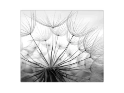 Banjado Herdabdeckplatte Glas 1 Teilig 60x52CM Schneidebrett Herdabdeckung Mit Motiv Ready For Takeoff