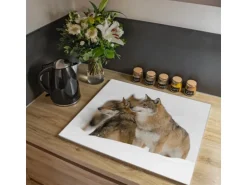 Banjado Herdabdeckplatte Glas 1 Teilig 60x52CM Schneidebrett Herdabdeckung Mit Motiv Wölfe