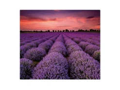 Banjado Herdabdeckplatte Glas 1 Teilig 60x52CM Schneidebrett Herdabdeckung Mit Motiv Lavendelfeld