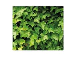 Banjado Herdabdeckplatte Glas 2 Teilig Je 30x52CM Schneidebrett Herdabdeckung Mit Motiv Efeu