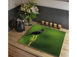 Banjado Herdabdeckplatte Glas 1 Teilig 60x52CM Schneidebrett Herdabdeckung Mit Motiv Vogel Auf Tannenzweig