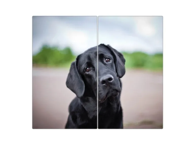 Banjado Herdabdeckplatte Glas 2 Teilig Je 30x52CM Schneidebrett Herdabdeckung Mit Motiv Paolo