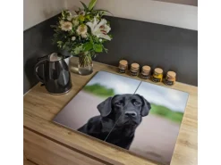 Banjado Herdabdeckplatte Glas 2 Teilig Je 30x52CM Schneidebrett Herdabdeckung Mit Motiv Paolo