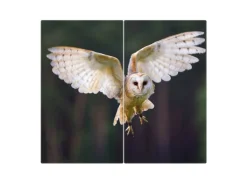 Banjado Herdabdeckplatte Glas 2 Teilig Je 30x52CM Schneidebrett Herdabdeckung Mit Motiv Schleiereule