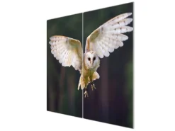 Banjado Herdabdeckplatte Glas 2 Teilig Je 30x52CM Schneidebrett Herdabdeckung Mit Motiv Schleiereule