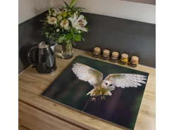 Banjado Herdabdeckplatte Glas 2 Teilig Je 30x52CM Schneidebrett Herdabdeckung Mit Motiv Schleiereule