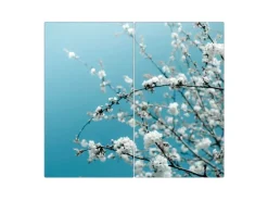 Banjado Herdabdeckplatte Glas 2 Teilig Je 30x52CM Schneidebrett Herdabdeckung Mit Motiv Weiße Kirschblüten