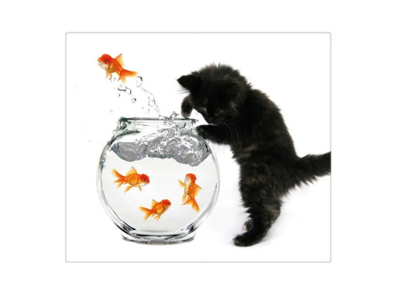 Banjado Herdabdeckplatte Glas 1 Teilig 60x52CM Schneidebrett Herdabdeckung Mit Motiv Katze Und Fisch