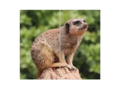 Banjado Herdabdeckplatte Glas 2 Teilig Je 30x52CM Schneidebrett Herdabdeckung Mit Motiv Sitzendes Erdmännchen