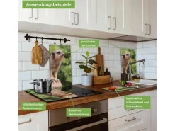 Banjado Herdabdeckplatte Glas 2 Teilig Je 30x52CM Schneidebrett Herdabdeckung Mit Motiv Sitzendes Erdmännchen