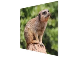 Banjado Herdabdeckplatte Glas 2 Teilig Je 30x52CM Schneidebrett Herdabdeckung Mit Motiv Sitzendes Erdmännchen