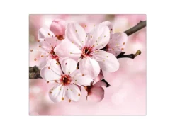 Banjado Herdabdeckplatte Glas 1 Teilig 60x52CM Schneidebrett Herdabdeckung Mit Motiv Japanische Kirsche