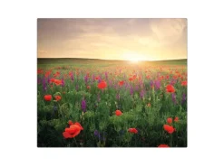 Banjado Herdabdeckplatte Glas 1 Teilig 60x52CM Schneidebrett Herdabdeckung Mit Motiv Sommerfeld