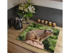 Banjado Herdabdeckplatte Glas 1 Teilig 60x52CM Schneidebrett Herdabdeckung Mit Motiv Sitzendes Erdmännchen