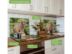 Banjado Herdabdeckplatte Glas 1 Teilig 60x52CM Schneidebrett Herdabdeckung Mit Motiv Sitzendes Erdmännchen