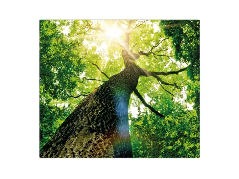 Banjado Herdabdeckplatte Glas 1 Teilig 60x52CM Schneidebrett Herdabdeckung Mit Motiv Baumkrone