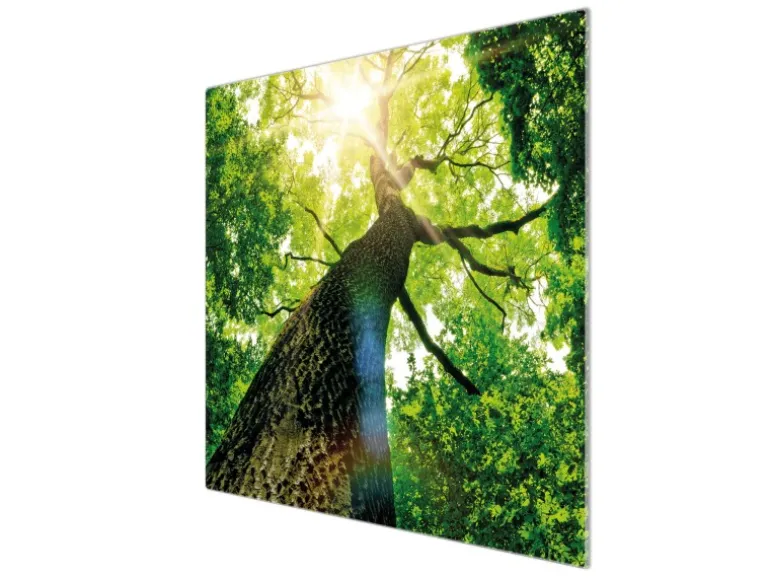 Banjado Herdabdeckplatte Glas 1 Teilig 60x52CM Schneidebrett Herdabdeckung Mit Motiv Baumkrone