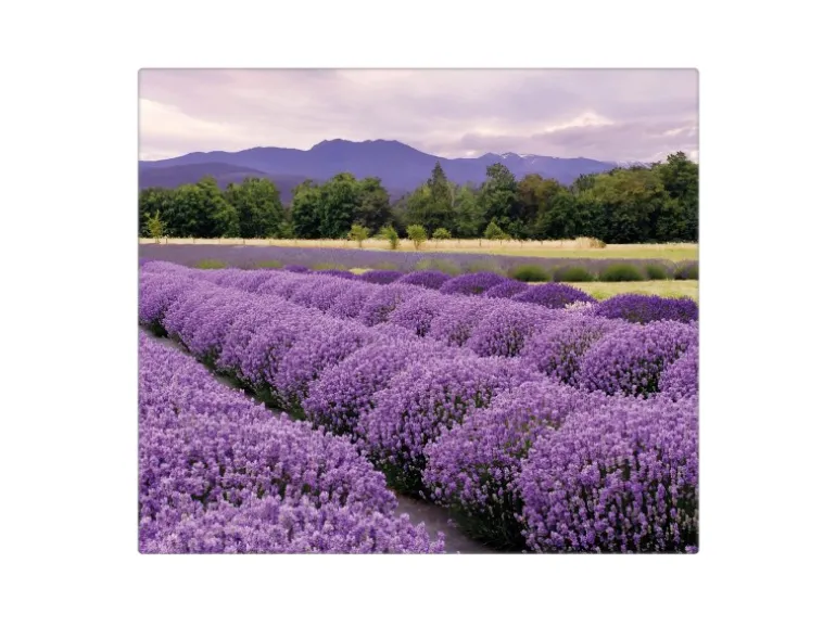 Banjado Herdabdeckplatte Glas 1 Teilig 60x52CM Schneidebrett Herdabdeckung Mit Motiv Lavendel 1