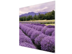 Banjado Herdabdeckplatte Glas 1 Teilig 60x52CM Schneidebrett Herdabdeckung Mit Motiv Lavendel 1