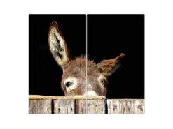 Banjado Herdabdeckplatte Glas 2 Teilig Je 30x52CM Schneidebrett Herdabdeckung Mit Motiv Esel