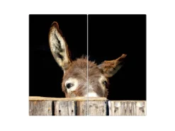 Banjado Herdabdeckplatte Glas 2 Teilig Je 30x52CM Schneidebrett Herdabdeckung Mit Motiv Esel