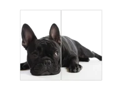Banjado Herdabdeckplatte Glas 2 Teilig Je 30x52CM Schneidebrett Herdabdeckung Mit Motiv Bulldogge