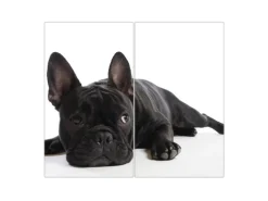 Banjado Herdabdeckplatte Glas 2 Teilig Je 30x52CM Schneidebrett Herdabdeckung Mit Motiv Bulldogge