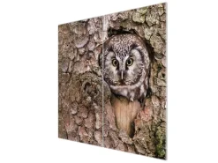 Banjado Herdabdeckplatte Glas 2 Teilig Je 30x52CM Schneidebrett Herdabdeckung Mit Motiv Eule