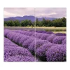 Banjado Herdabdeckplatte Glas 2 Teilig Je 30x52CM Schneidebrett Herdabdeckung Mit Motiv Lavendel 1