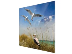 Banjado Herdabdeckplatte Glas 1 Teilig 60x52CM Schneidebrett Herdabdeckung Mit Motiv Möwen