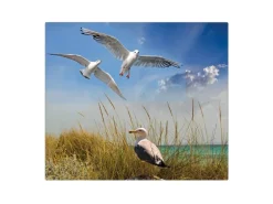 Banjado Herdabdeckplatte Glas 1 Teilig 60x52CM Schneidebrett Herdabdeckung Mit Motiv Möwen