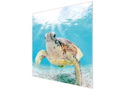 Banjado Herdabdeckplatte Glas 1 Teilig 60x52CM Schneidebrett Herdabdeckung Mit Motiv Elvis