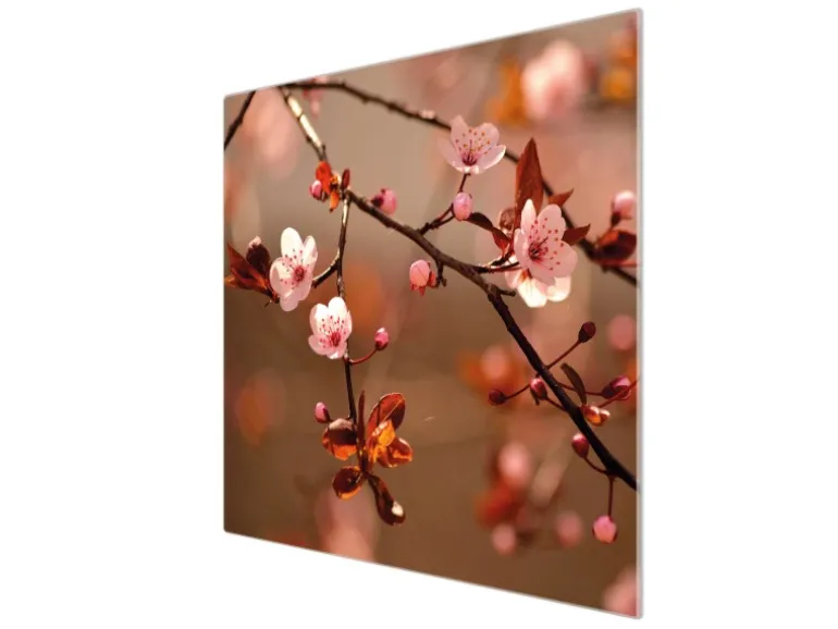 Banjado Herdabdeckplatte Glas 1 Teilig 60x52CM Schneidebrett Herdabdeckung Mit Motiv Blühender Kirschzweig