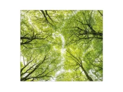 Banjado Herdabdeckplatte Glas 1 Teilig 60x52CM Schneidebrett Herdabdeckung Mit Motiv Zwischen Bäumen