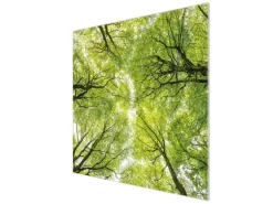 Banjado Herdabdeckplatte Glas 1 Teilig 60x52CM Schneidebrett Herdabdeckung Mit Motiv Zwischen Bäumen