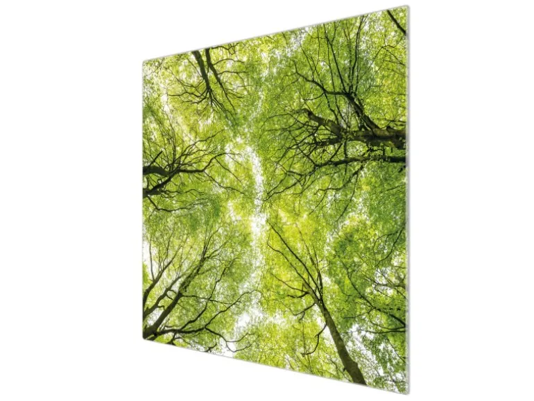 Banjado Herdabdeckplatte Glas 1 Teilig 60x52CM Schneidebrett Herdabdeckung Mit Motiv Zwischen Bäumen