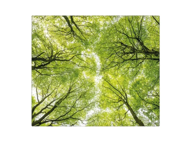 Banjado Herdabdeckplatte Glas 1 Teilig 60x52CM Schneidebrett Herdabdeckung Mit Motiv Zwischen Bäumen