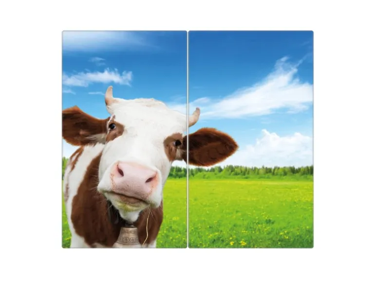 Banjado Herdabdeckplatte Glas 2 Teilig Je 30x52CM Schneidebrett Herdabdeckung Mit Motiv Pardon