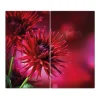 Banjado Herdabdeckplatte Glas 2 Teilig Je 30x52CM Schneidebrett Herdabdeckung Mit Motiv Rote Dahlien