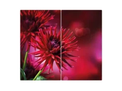 Banjado Herdabdeckplatte Glas 2 Teilig Je 30x52CM Schneidebrett Herdabdeckung Mit Motiv Rote Dahlien