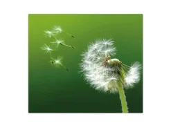 Banjado Herdabdeckplatte Glas 1 Teilig 60x52CM Schneidebrett Herdabdeckung Mit Motiv Pusteblume