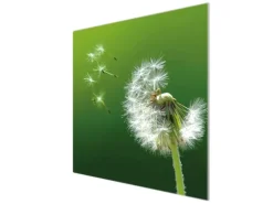 Banjado Herdabdeckplatte Glas 1 Teilig 60x52CM Schneidebrett Herdabdeckung Mit Motiv Pusteblume