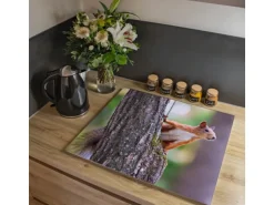 Banjado Herdabdeckplatte Glas 2 Teilig Je 30x52CM Schneidebrett Herdabdeckung Mit Motiv Eichhörnchen