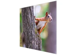 Banjado Herdabdeckplatte Glas 2 Teilig Je 30x52CM Schneidebrett Herdabdeckung Mit Motiv Eichhörnchen