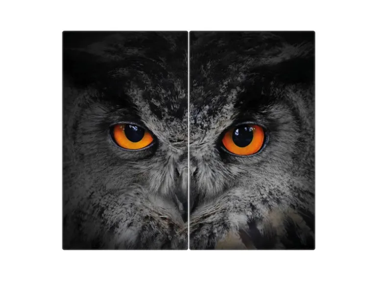 Banjado Herdabdeckplatte Glas 2 Teilig Je 30x52CM Schneidebrett Herdabdeckung Mit Motiv Uhu