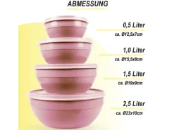 Bestgoodies Vorratsdosen 4er Set Rund Rosa