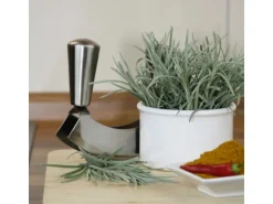 Blu Bio-Currykraut Topf-Ø ca. 12 cm Helichrysum