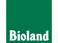 Blu Bio-Fünfblättriges Heilkraut Topf-Ø ca. 12 cm Gynostemma